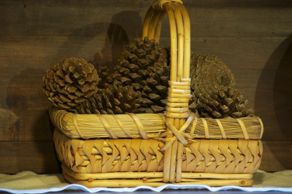 Albergue Los Blasones サリア エクステリア 写真